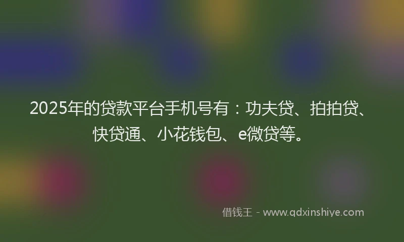 2025年的贷款平台手机号有：功夫贷、拍拍贷、快贷通、小花钱包、e微贷等。