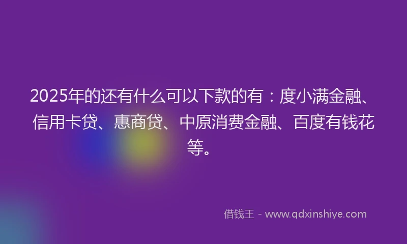 2025年的还有什么可以下款的有：度小满金融、信用卡贷、惠商贷、中原消费金融、百度有钱花等。