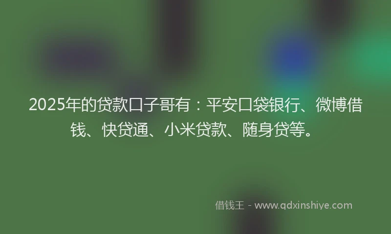 2025年的贷款口子哥有：平安口袋银行、微博借钱、快贷通、小米贷款、随身贷等。