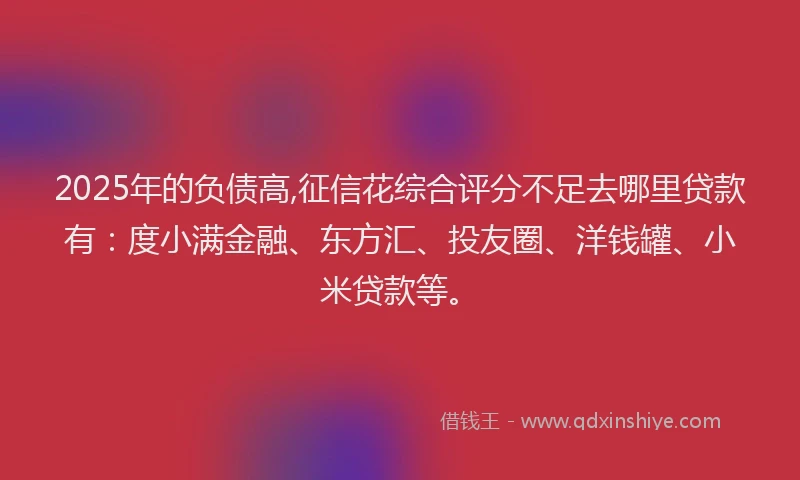 2025年的负债高,征信花综合评分不足去哪里贷款有：度小满金融、东方汇、投友圈、洋钱罐、小米贷款等。