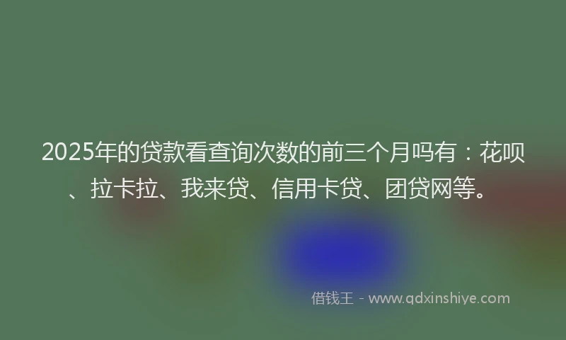 2025年的贷款看查询次数的前三个月吗有：花呗、拉卡拉、我来贷、信用卡贷、团贷网等。