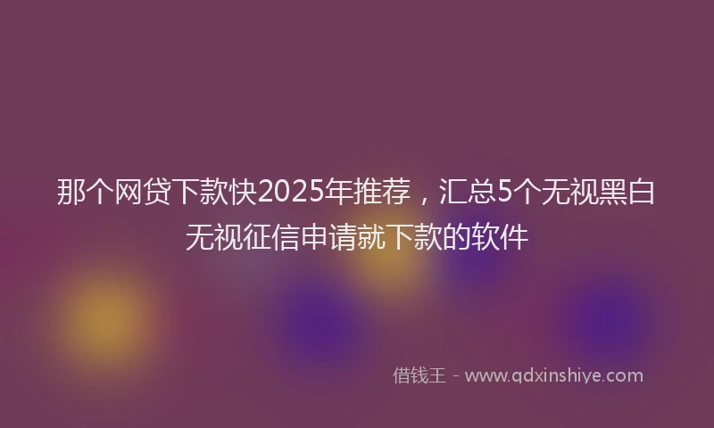 那个网贷下款快2025年推荐，汇总5个无视黑白无视征信申请就下款的软件