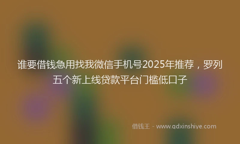 谁要借钱急用找我微信手机号2025年推荐，罗列五个新上线贷款平台门槛低口子
