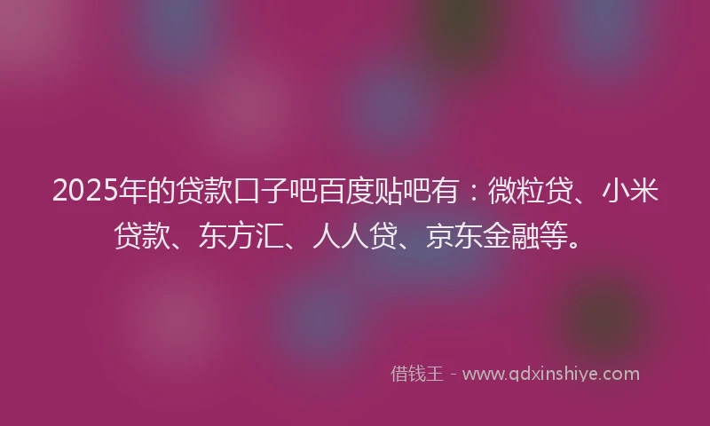 2025年的贷款口子吧百度贴吧有：微粒贷、小米贷款、东方汇、人人贷、京东金融等。