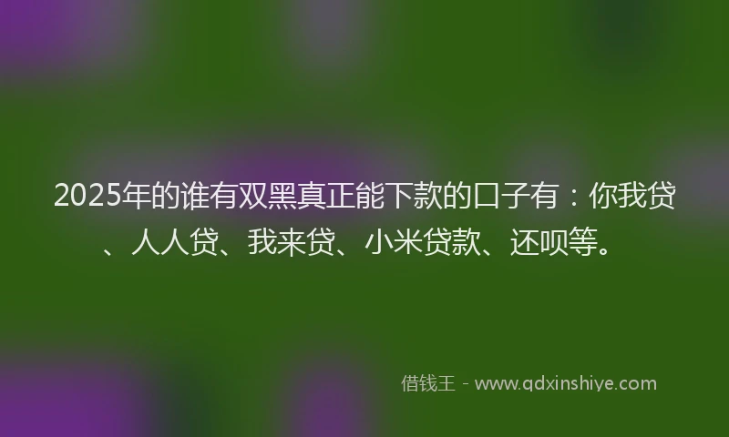 2025年的谁有双黑真正能下款的口子有：你我贷、人人贷、我来贷、小米贷款、还呗等。