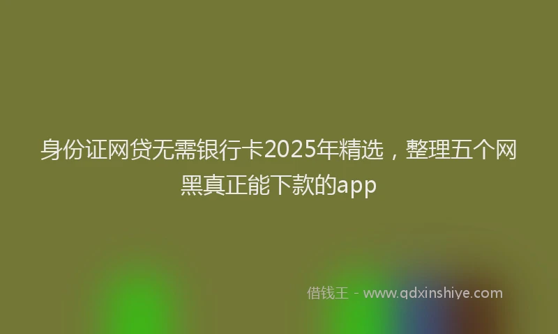 身份证网贷无需银行卡2025年精选，整理五个网黑真正能下款的app