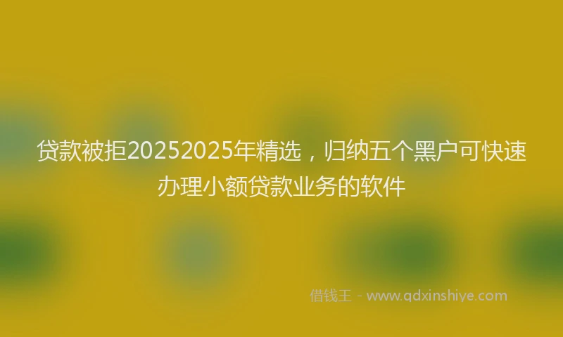 贷款被拒20252025年精选，归纳五个黑户可快速办理小额贷款业务的软件