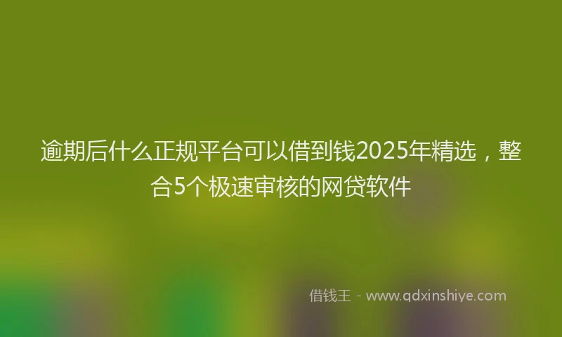 逾期后什么正规平台可以借到钱2025年精选，整合5个极速审核的网贷软件