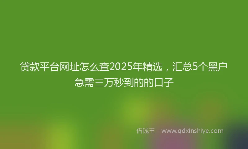 贷款平台网址怎么查2025年精选，汇总5个黑户急需三万秒到的的口子