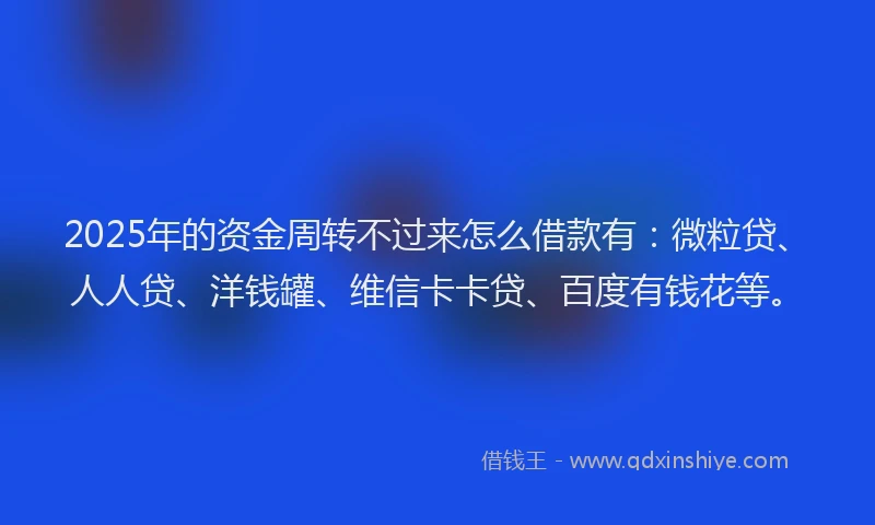 2025年的资金周转不过来怎么借款有：微粒贷、人人贷、洋钱罐、维信卡卡贷、百度有钱花等。