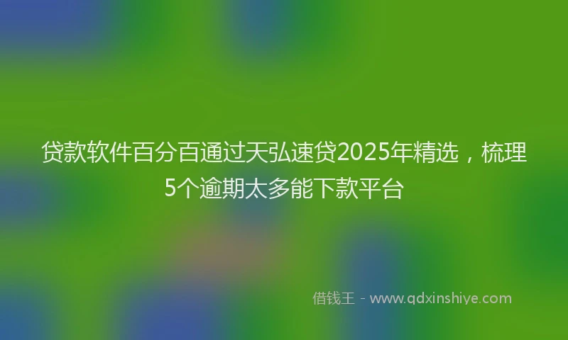 贷款软件百分百通过天弘速贷2025年精选，梳理5个逾期太多能下款平台