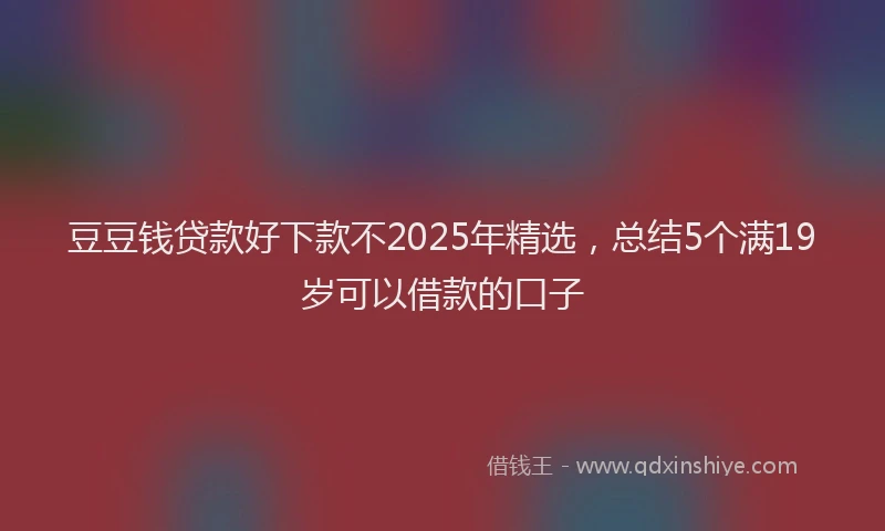 豆豆钱贷款好下款不2025年精选，总结5个满19岁可以借款的口子