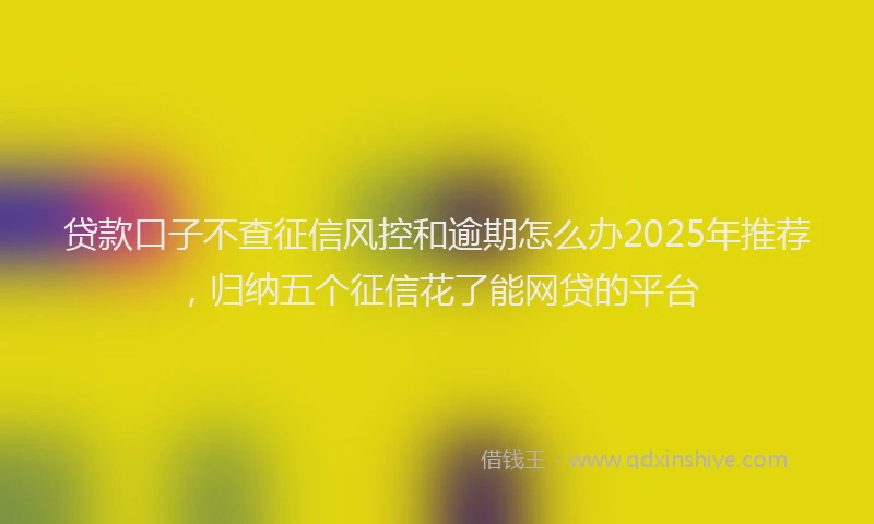 贷款口子不查征信风控和逾期怎么办2025年推荐，归纳五个征信花了能网贷的平台