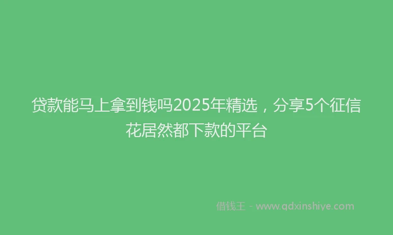 贷款能马上拿到钱吗2025年精选，分享5个征信花居然都下款的平台