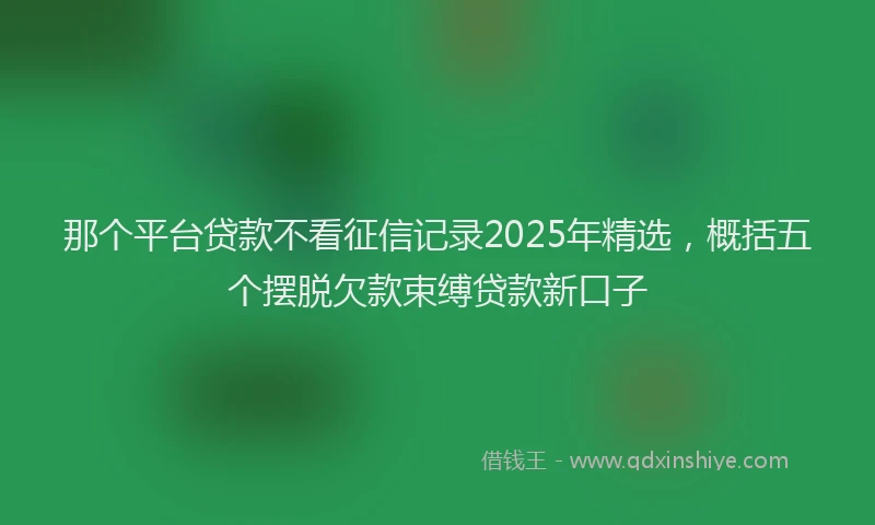 那个平台贷款不看征信记录2025年精选，概括五个摆脱欠款束缚贷款新口子
