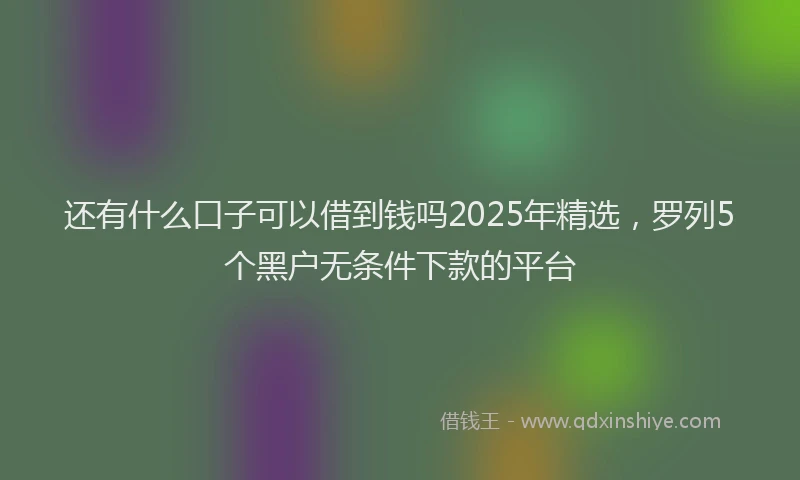 还有什么口子可以借到钱吗2025年精选，罗列5个黑户无条件下款的平台