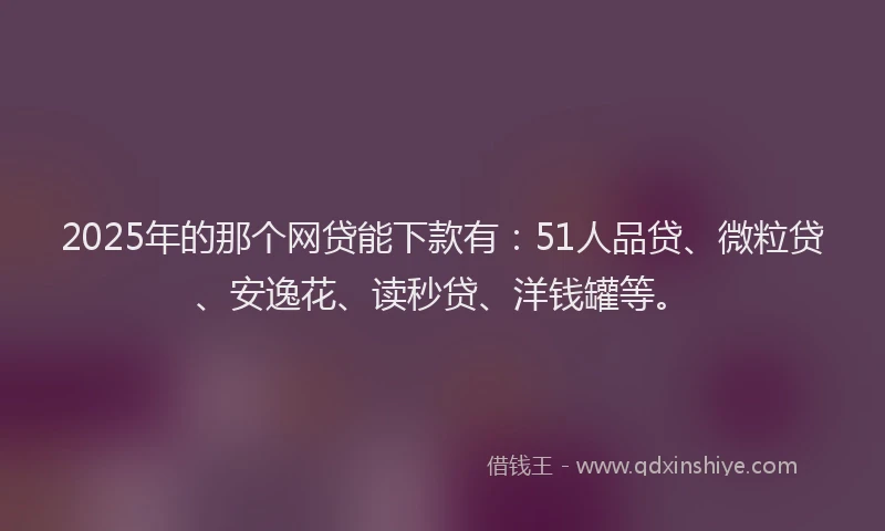 2025年的那个网贷能下款有：51人品贷、微粒贷、安逸花、读秒贷、洋钱罐等。