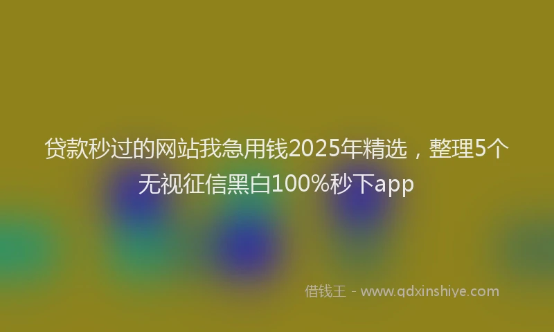 贷款秒过的网站我急用钱2025年精选，整理5个无视征信黑白100%秒下app