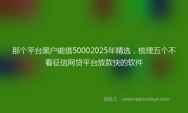 那个平台黑户能借50002025年精选，梳理五个不看征信网贷平台放款快的软件