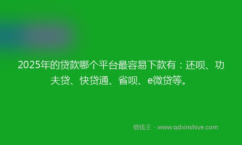 2025年的贷款哪个平台最容易下款有：还呗、功夫贷、快贷通、省呗、e微贷等。