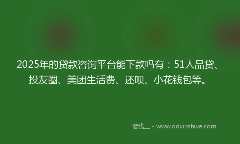 2025年的贷款咨询平台能下款吗有：51人品贷、投友圈、美团生活费、还呗、小花钱包等。