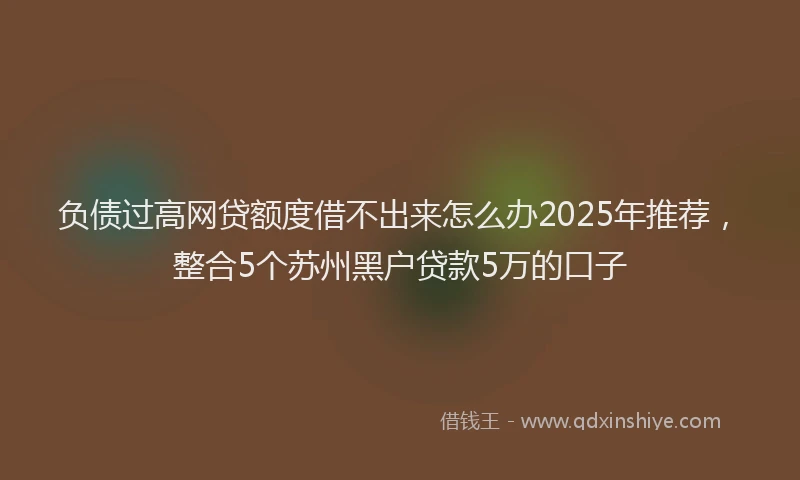 负债过高网贷额度借不出来怎么办2025年推荐，整合5个苏州黑户贷款5万的口子