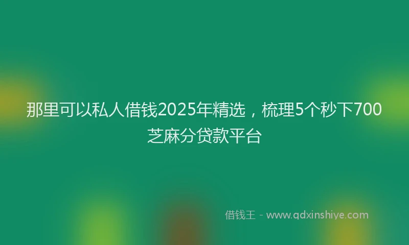 那里可以私人借钱2025年精选，梳理5个秒下700芝麻分贷款平台