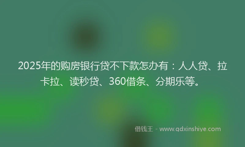 2025年的购房银行贷不下款怎办有:人人贷、拉卡拉、读秒贷、360借条、分期乐等。