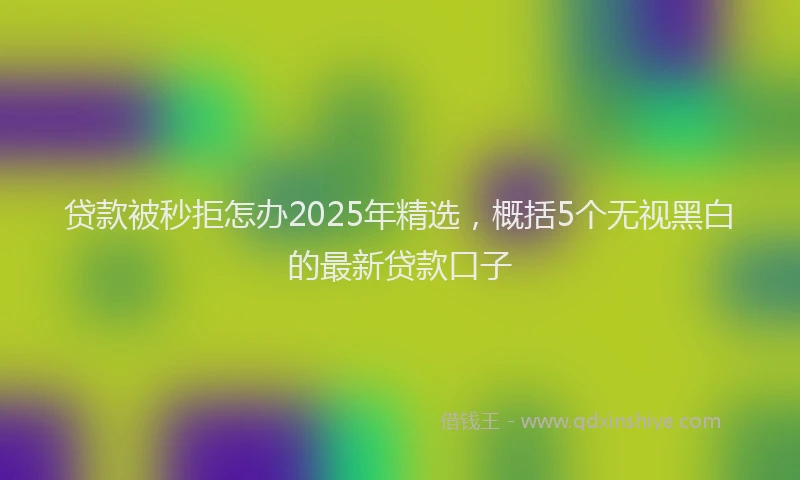 贷款被秒拒怎办2025年精选，概括5个无视黑白的最新贷款口子