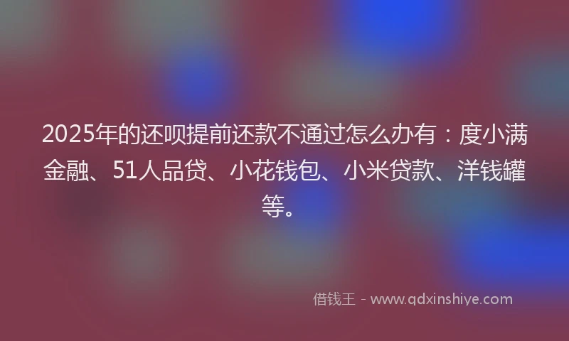 2025年的还呗提前还款不通过怎么办有：度小满金融、51人品贷、小花钱包、小米贷款、洋钱罐等。