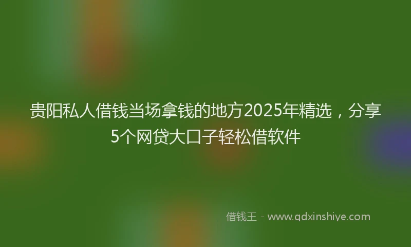 贵阳私人借钱当场拿钱的地方2025年精选，分享5个网贷大口子轻松借软件
