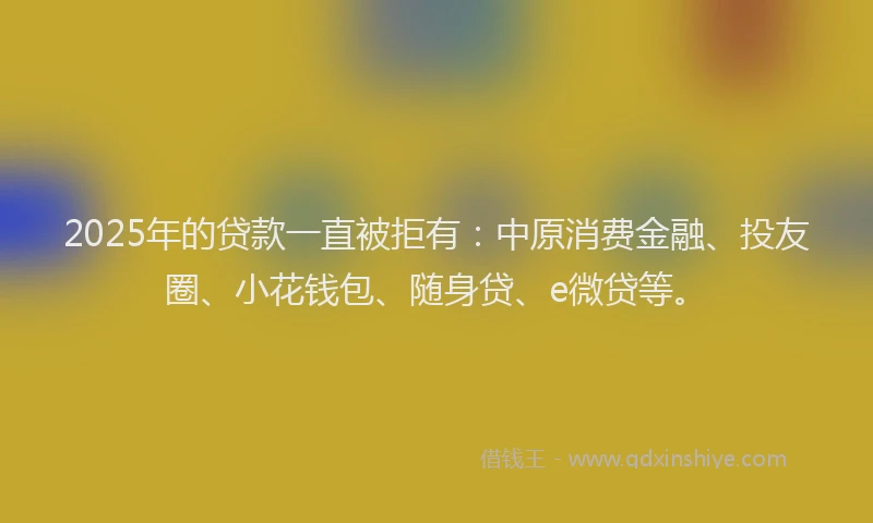 2025年的贷款一直被拒有：中原消费金融、投友圈、小花钱包、随身贷、e微贷等。