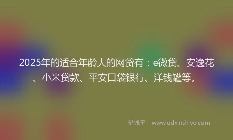 2025年的适合年龄大的网贷有：e微贷、安逸花、小米贷款、平安口袋银行、洋钱罐等。