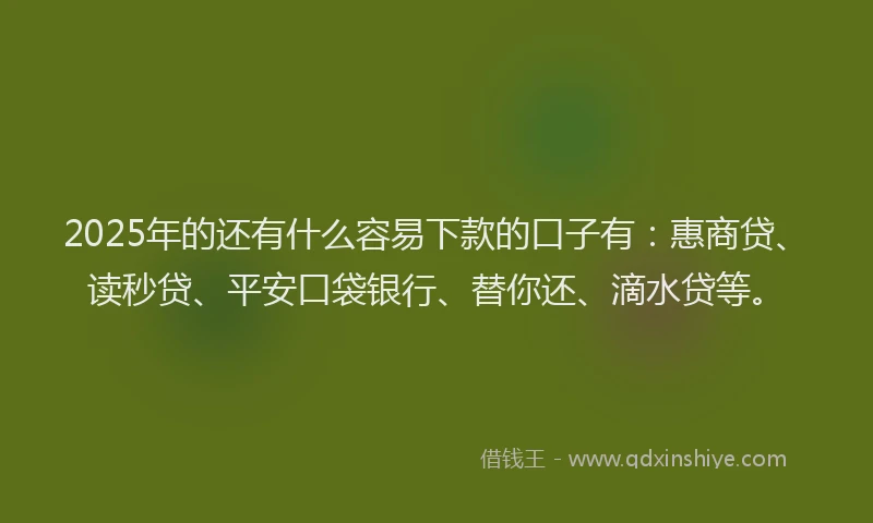 2025年的还有什么容易下款的口子有：惠商贷、读秒贷、平安口袋银行、替你还、滴水贷等。