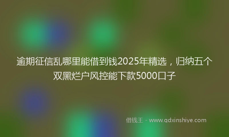 逾期征信乱哪里能借到钱2025年精选，归纳五个双黑烂户风控能下款5000口子