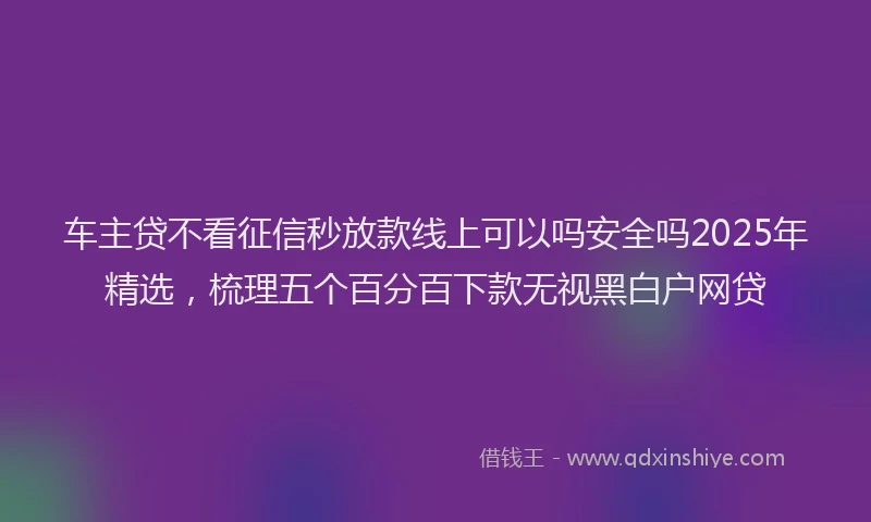 车主贷不看征信秒放款线上可以吗安全吗2025年精选，梳理五个百分百下款无视黑白户网贷