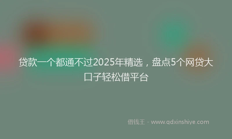 贷款一个都通不过2025年精选，盘点5个网贷大口子轻松借平台