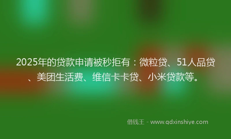 2025年的贷款申请被秒拒有：微粒贷、51人品贷、美团生活费、维信卡卡贷、小米贷款等。