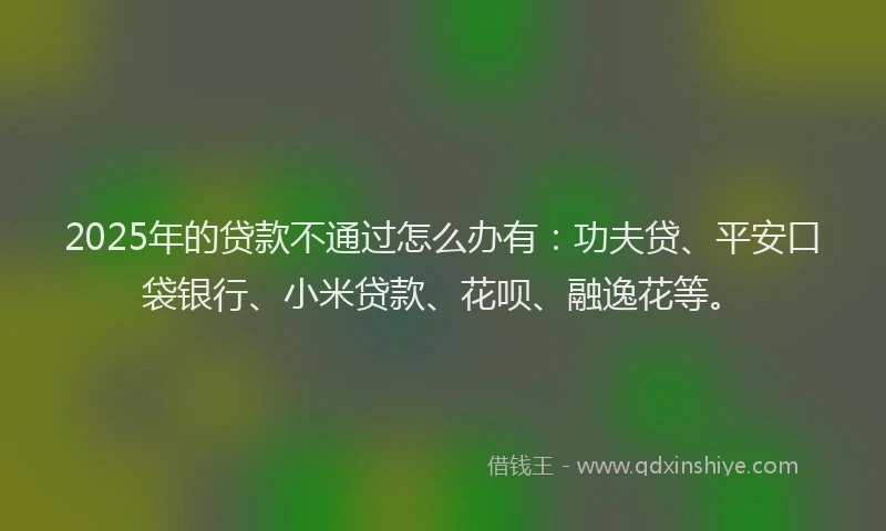 2025年的贷款不通过怎么办有：功夫贷、平安口袋银行、小米贷款、花呗、融逸花等。
