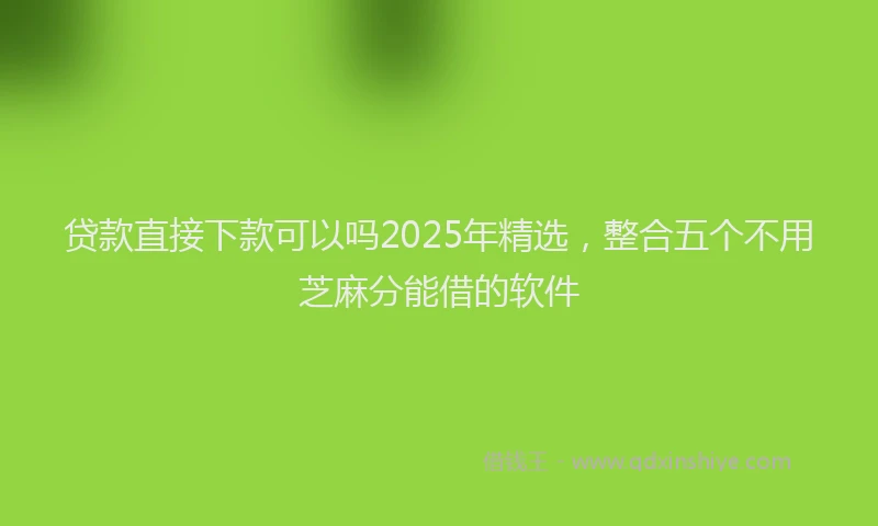 贷款直接下款可以吗2025年精选，整合五个不用芝麻分能借的软件