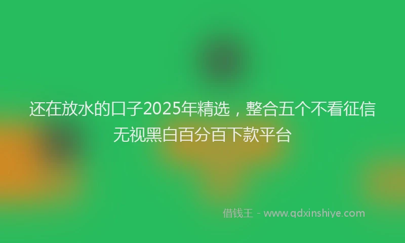 还在放水的口子2025年精选，整合五个不看征信无视黑白百分百下款平台