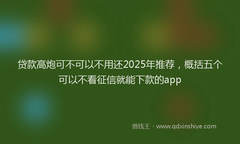 贷款高炮可不可以不用还2025年推荐，概括五个可以不看征信就能下款的app