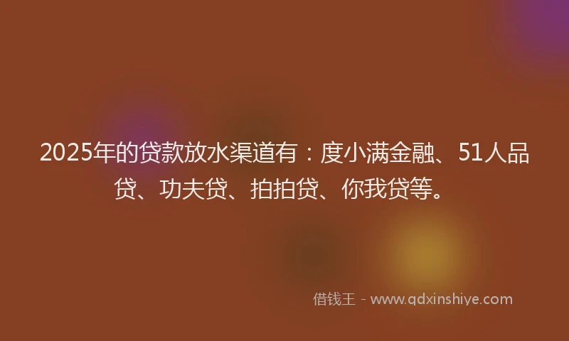 2025年的贷款放水渠道有：度小满金融、51人品贷、功夫贷、拍拍贷、你我贷等。