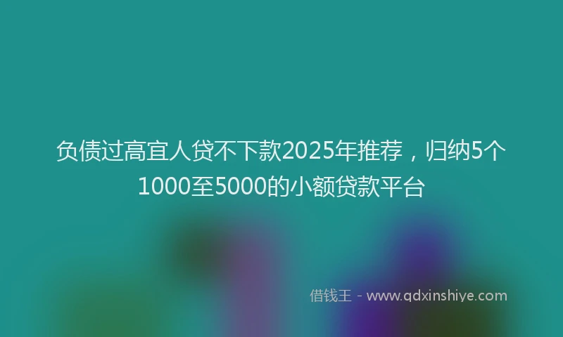 负债过高宜人贷不下款2025年推荐，归纳5个1000至5000的小额贷款平台