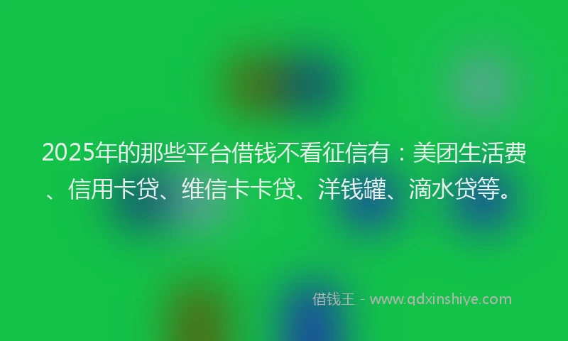 2025年的那些平台借钱不看征信有：美团生活费、信用卡贷、维信卡卡贷、洋钱罐、滴水贷等。