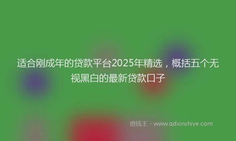 适合刚成年的贷款平台2025年精选，概括五个无视黑白的最新贷款口子