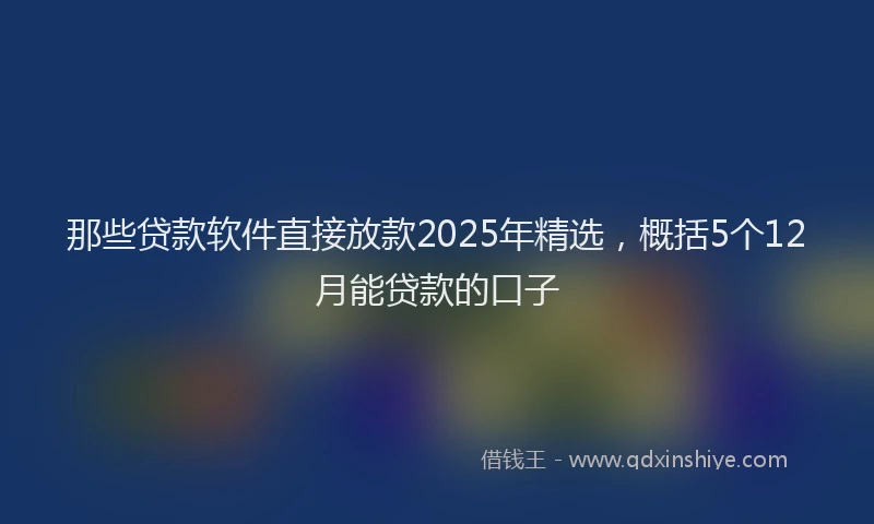 那些贷款软件直接放款2025年精选，概括5个12月能贷款的口子