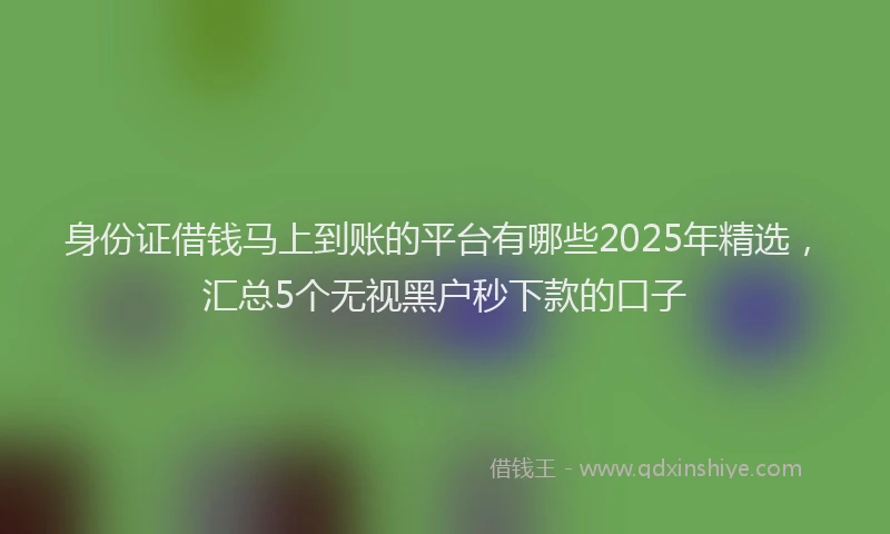 身份证借钱马上到账的平台有哪些2025年精选，汇总5个无视黑户秒下款的口子