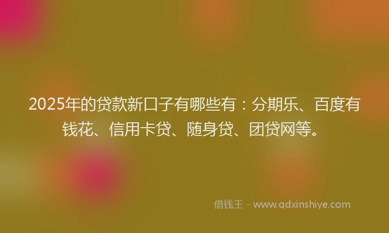2025年的贷款新口子有哪些有：分期乐、百度有钱花、信用卡贷、随身贷、团贷网等。