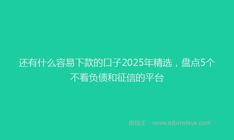 还有什么容易下款的口子2025年精选，盘点5个不看负债和征信的平台
